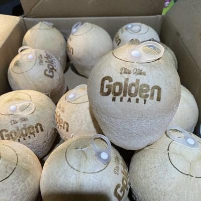 Coconut Whole/ Dừa Xiêm